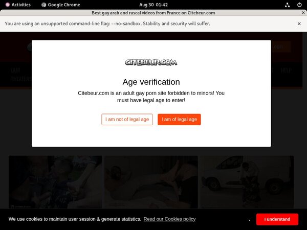 Access Citebeur Free