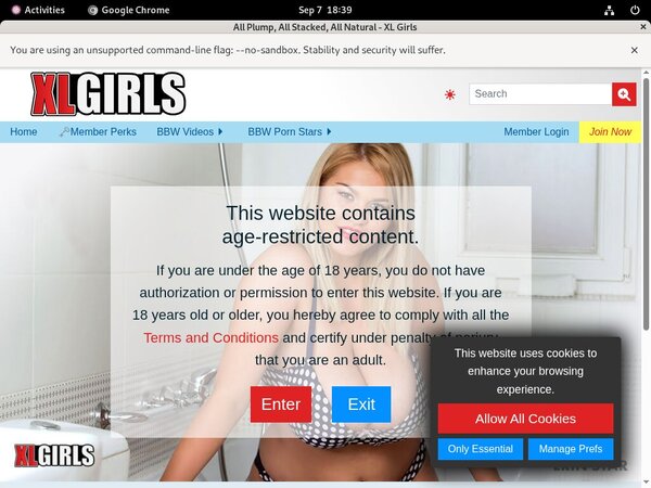 Accounts Of Xlgirls.com