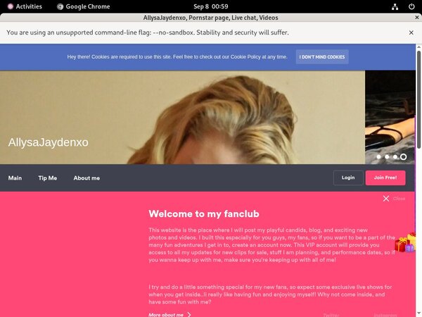 Allysajaydenxo.modelcentro.com ????