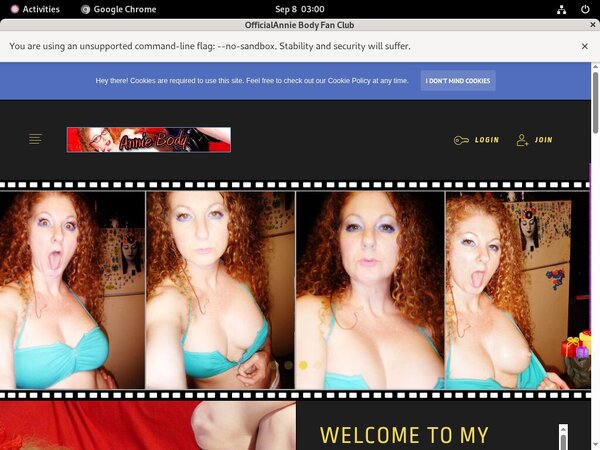 AnnieBody Password Accounts