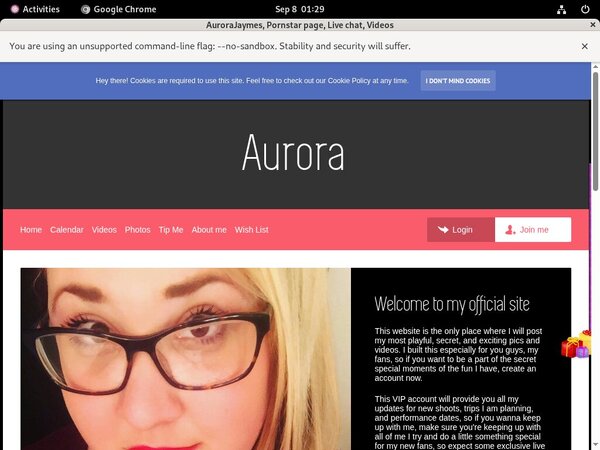 Aurorajaymes.modelcentro.com Sign In