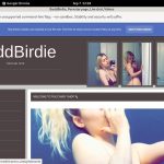 BaddBirdie Cheap Discount