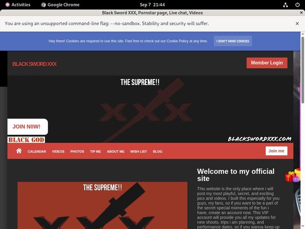 Blackswordxxx Account Passwords