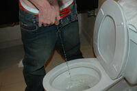 Boys-pissing.com Login Passwords s2
