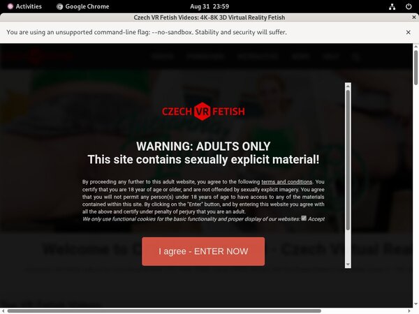 Czechvrfetish.com X