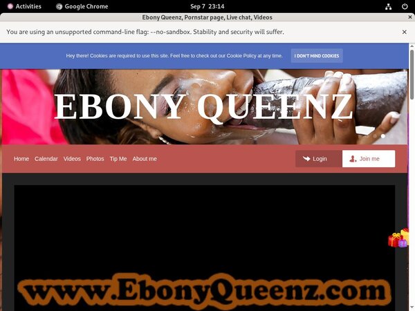 Ebony Queenz Premium Accounts