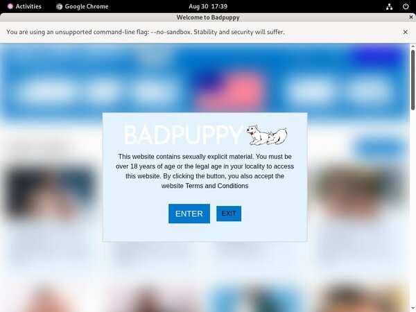 Free Account Badpuppy.com Offer