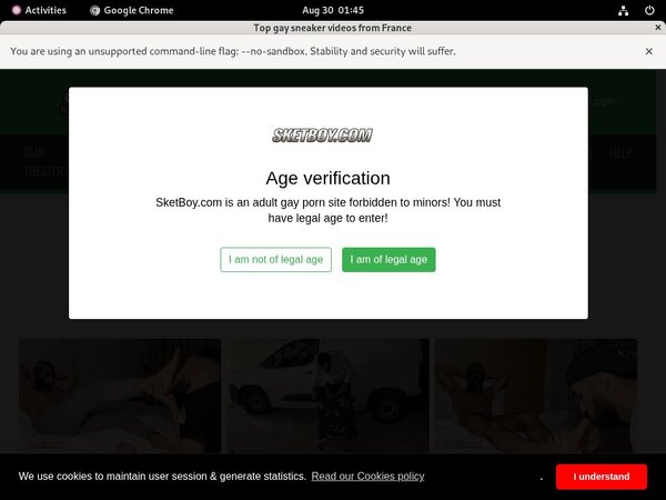 Free Account Sketboy