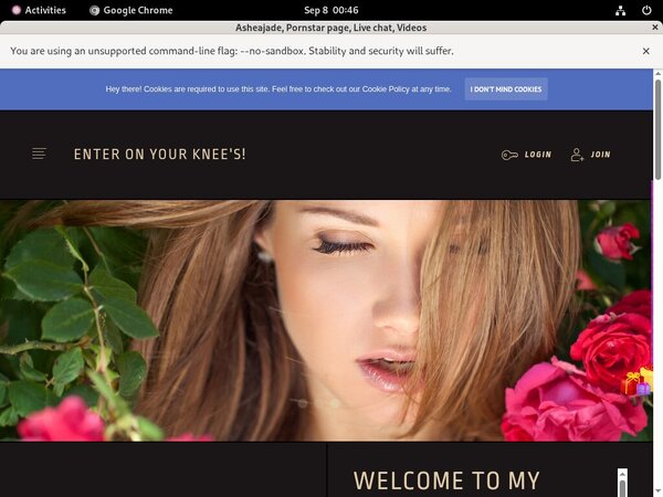 Free Ashea.modelcentro.com Account New