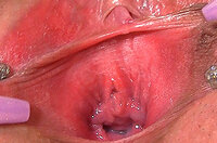 Free Gapemypussy.com Scenes s3