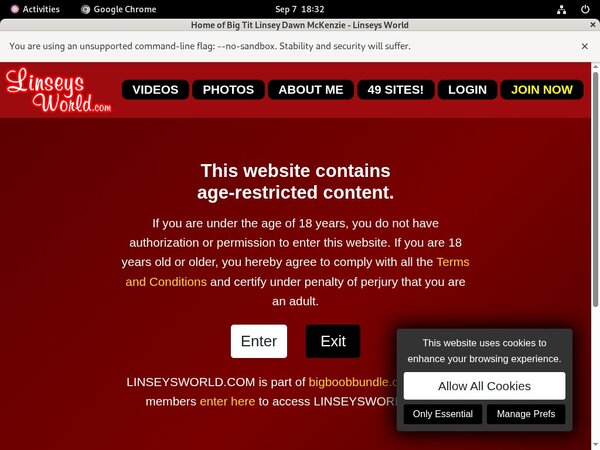Free Linseys World Account Passwords
