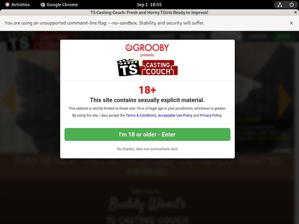 Free Logins Couch Casting TS