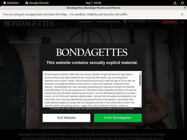 Free Password Bondagettes.com