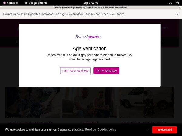 French Porn Gay Xxx Password