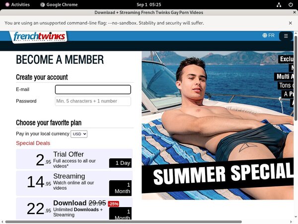 French Twinks Discount Login