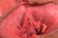 Gape My Pussy Porn Tube s2