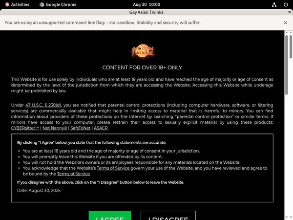 Gay Asian Twinkz Login Information