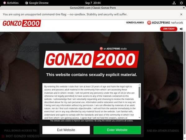 Gonzo 2000 Without Paying
