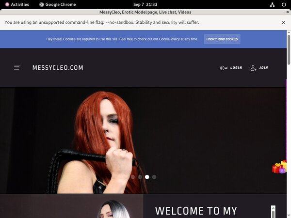 How Much Does MessyCleo Cost