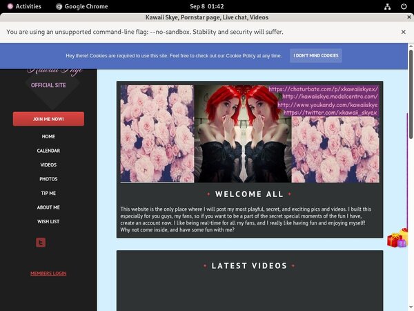 Kawaiiskye.modelcentro.com Free Com