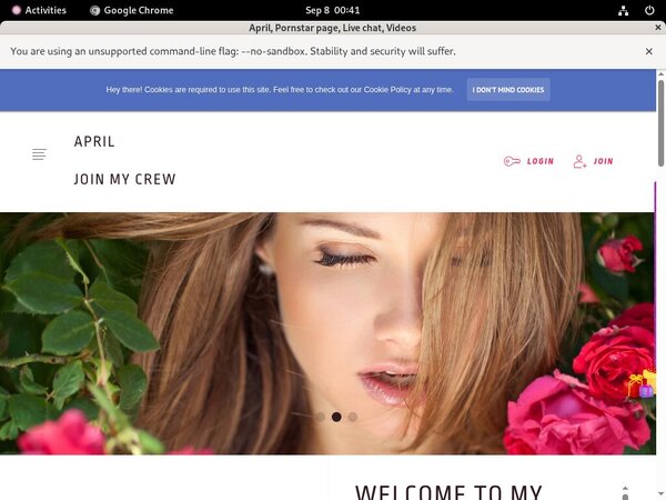 Ladyapril.modelcentro.com Pro Biller Page