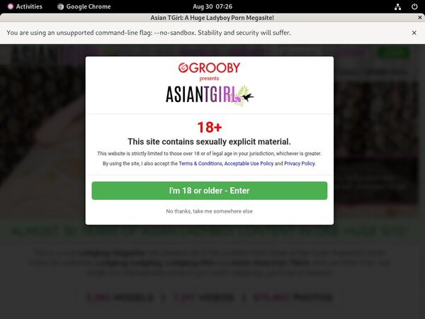 Ladyboy-ladyboy.com Site Rip Url