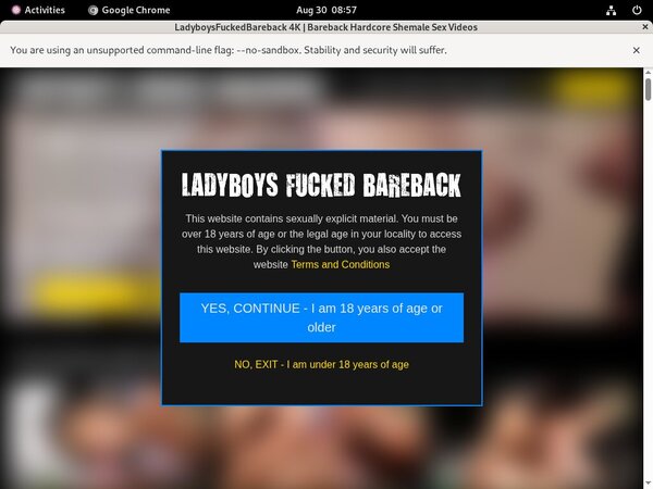 Ladyboysfuckedbareback.com Receive Discount