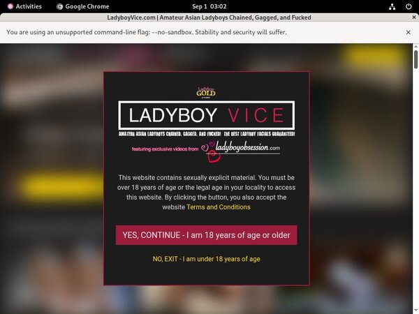 Ladyboyvice.com Ebony