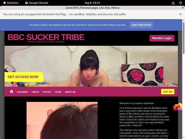 Linxer2013 Premium Acc