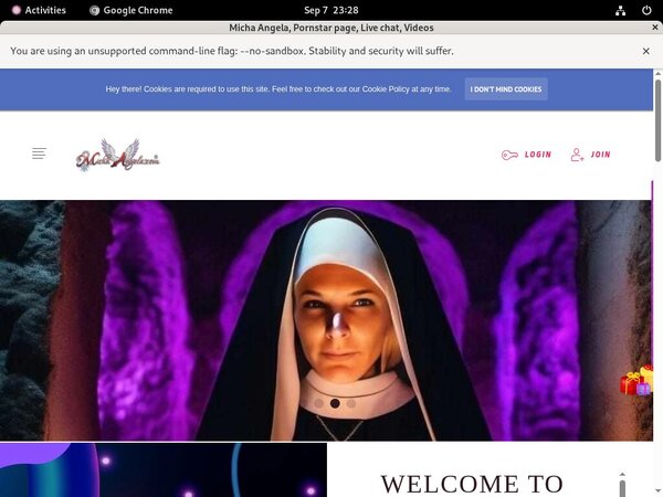 Michaangela.com Password Bugmenot
