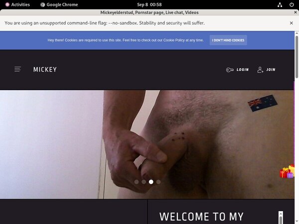 Mickeyelderstud.modelcentro.com Discount Vendo