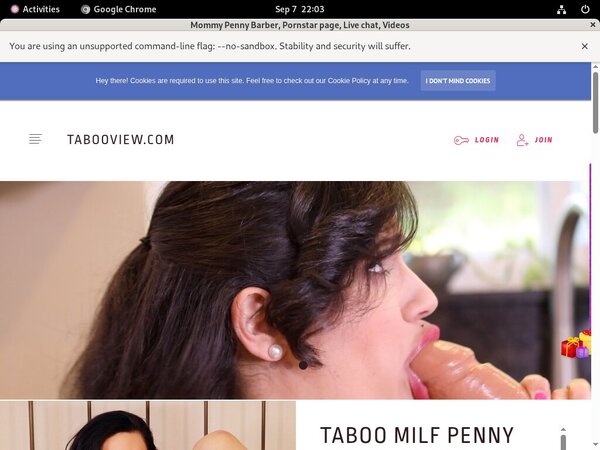 Mommy Penny Barber Netbilling