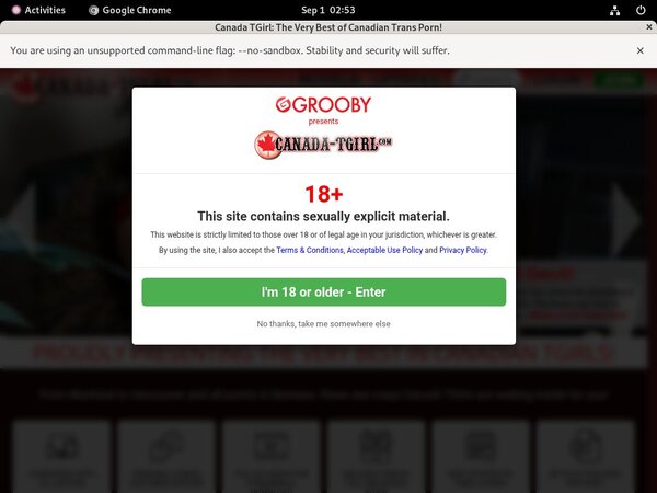 New Canada TGirl Site Rip