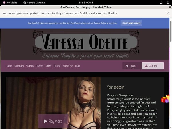 New Missvanessa.modelcentro.com Discount Deal
