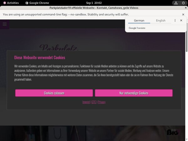 Parkplatzluder19 Adult Passwords