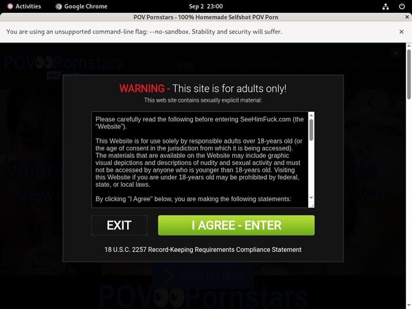 Passwords For POV Pornstars