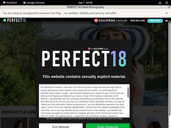 Perfect 18 Porn Password