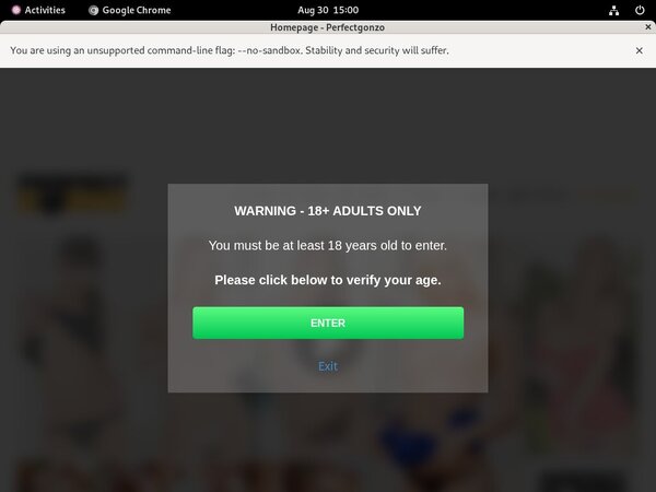 Perfectgonzo.com Website Password