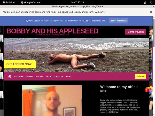 Porn Bobbyappleseed.modelcentro.com