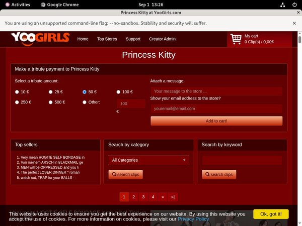 Princess Kitty Adult Passwords