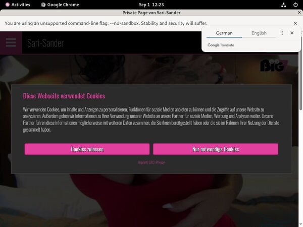Sari Sander Pay With Paypal