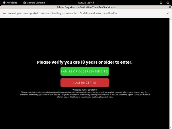 Schoolboyvideos.com Discount Access