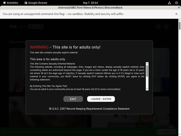 Shelovesblack Checkout Page