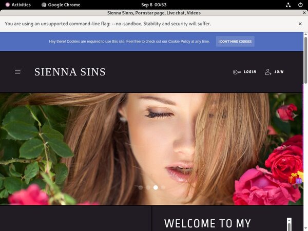Sienna Sinns Password List