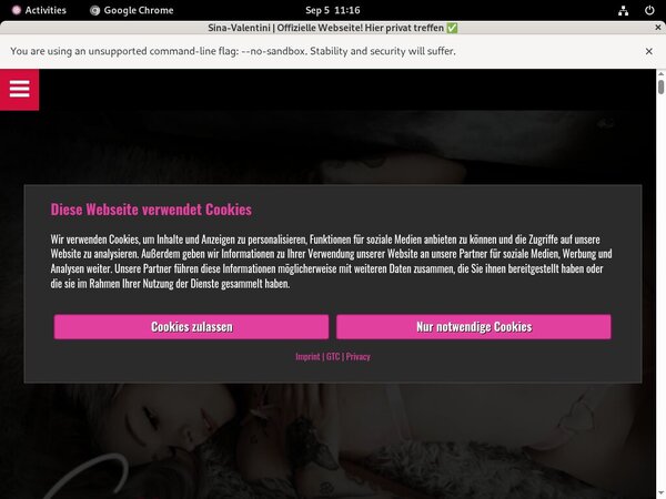 Sina Valentini Sign Up Page