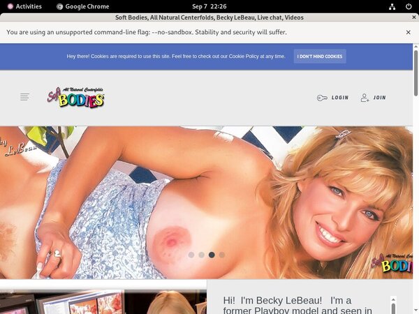 Softbodies.com Network Login