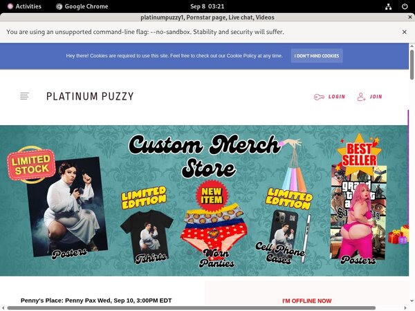 Special Platinumpuzzy.net Free Trial