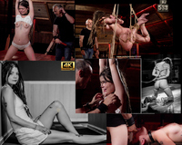 Subspace Land Free Trial Deal s0