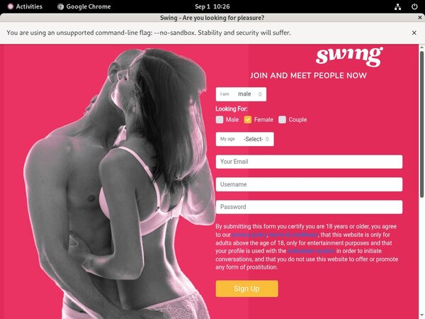 Swing.net Gay Videos