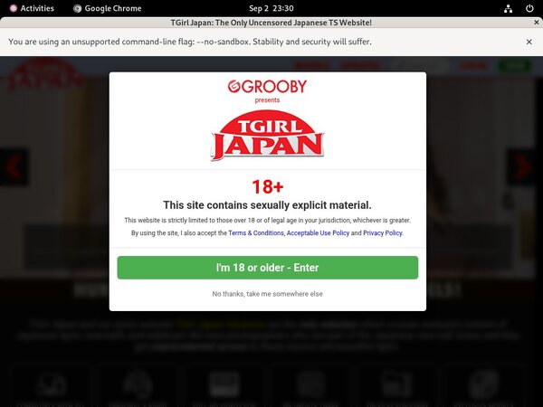 TGirl Japan Passwords Accounts